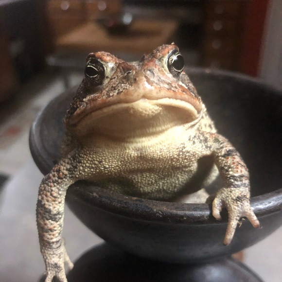 Meet your Poshers, Jim and Margy. - Picture 13 of 13